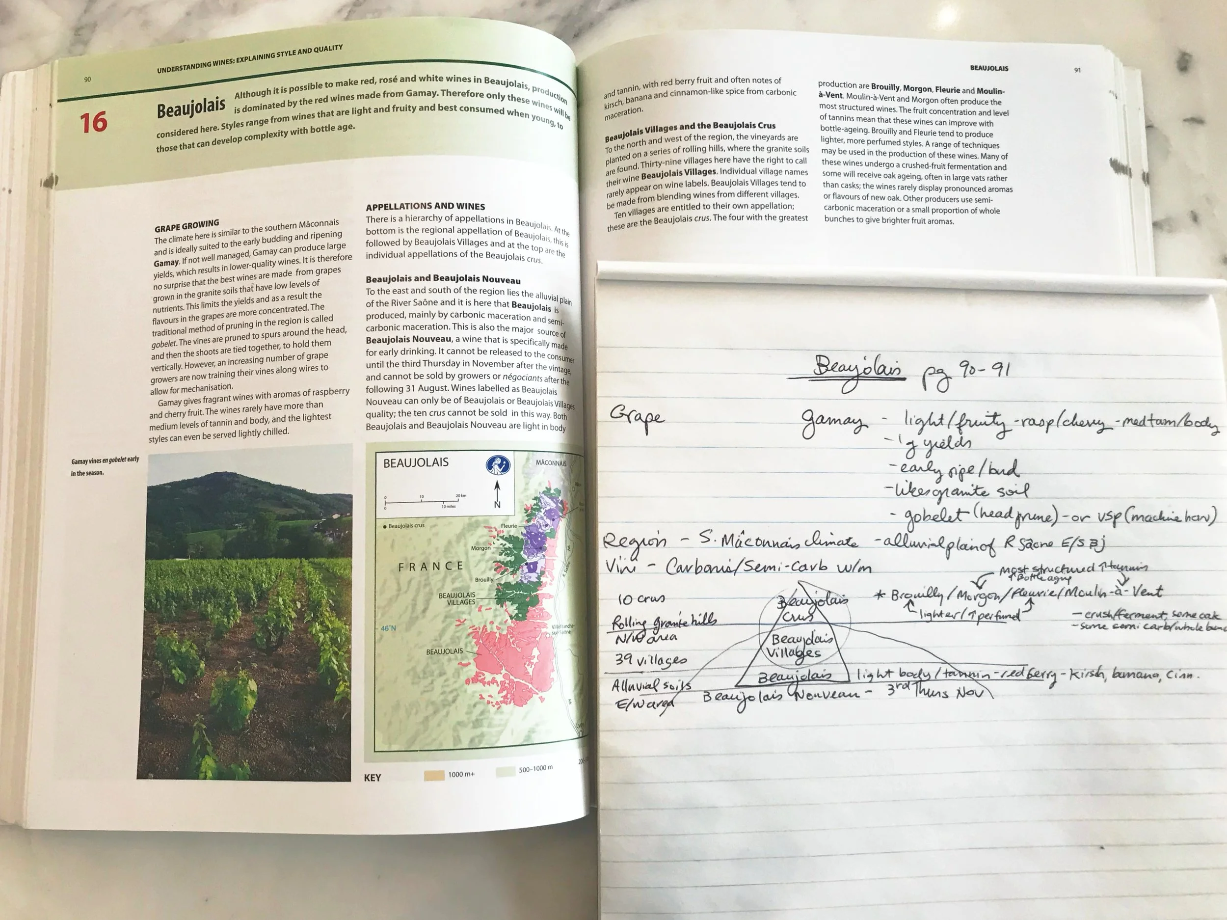Q&A: HOW TO STUDY FOR LEVEL 3 WSET EXAM? — Rachel von Sturmer